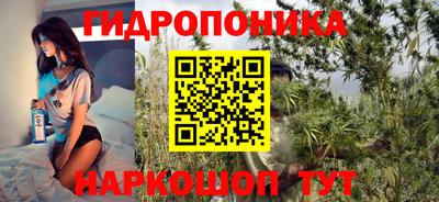 сатива Кунгур
